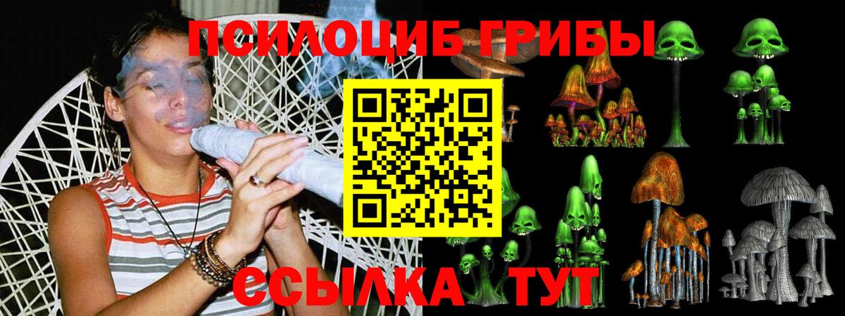 Псилоцибиновые грибы мухоморы Курчалой