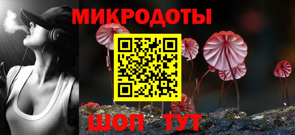 Курчалой  Галлюциногенные грибы MAGIC MUSHROOMS  Вход с VPN 