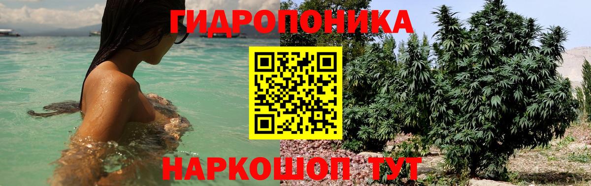 Марихуана план  Вход с VPN  Курчалой  Марихуана Ganja  МАРИХУАНА план 
